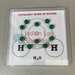 Covalent Bond in Water Model STEM Science Lab Demonstration Model